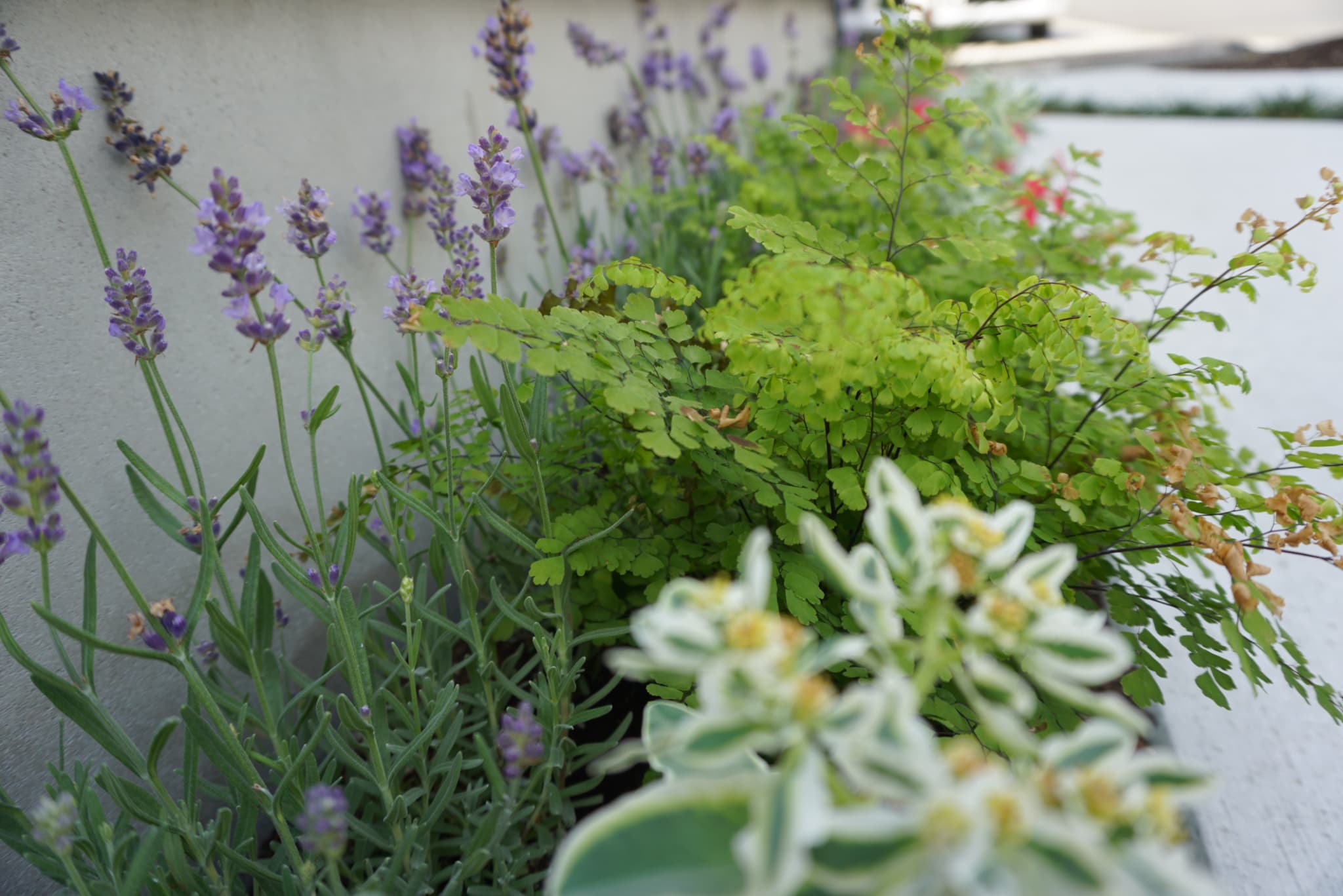 施工事例の写真