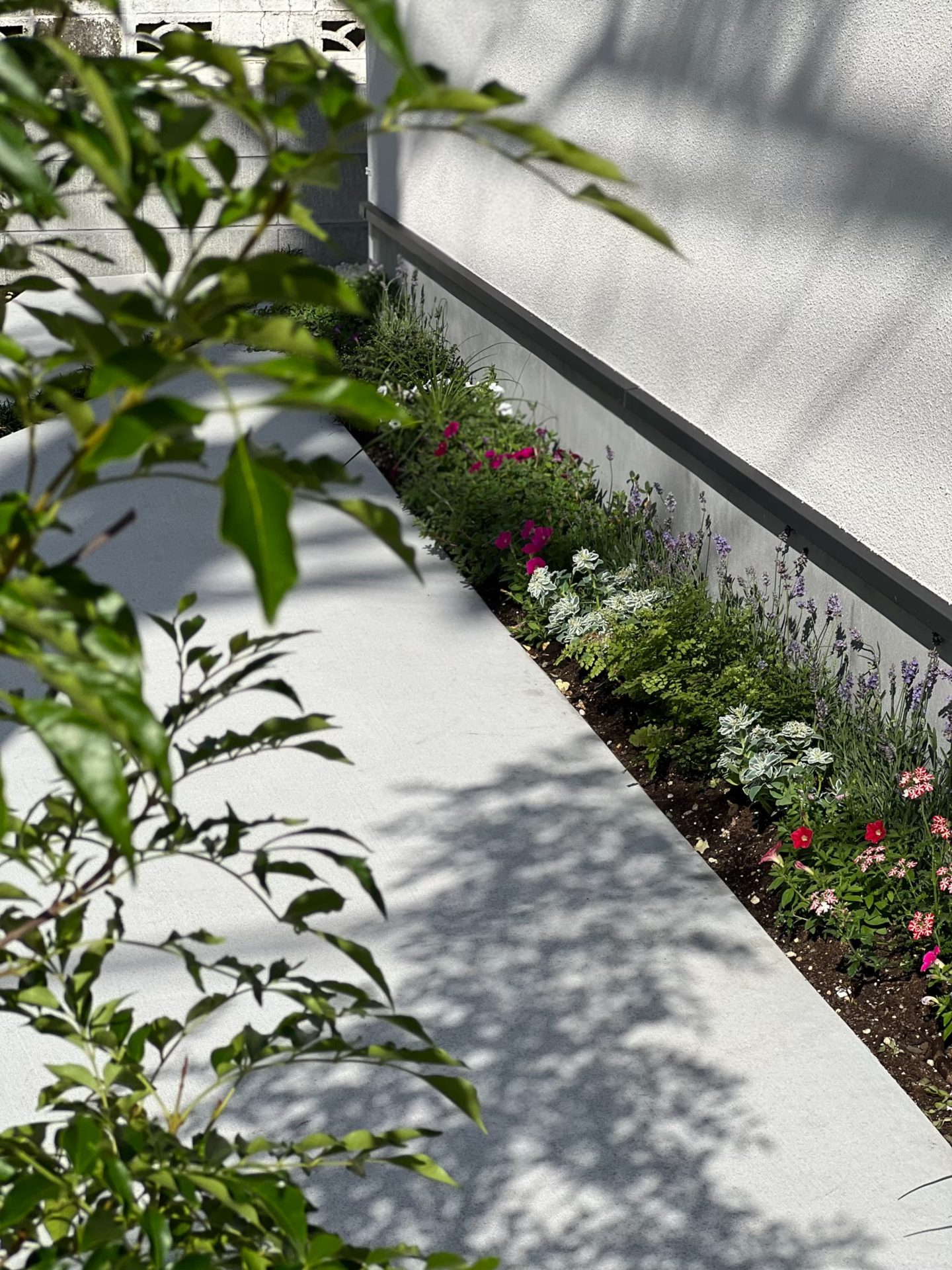 施工事例の写真