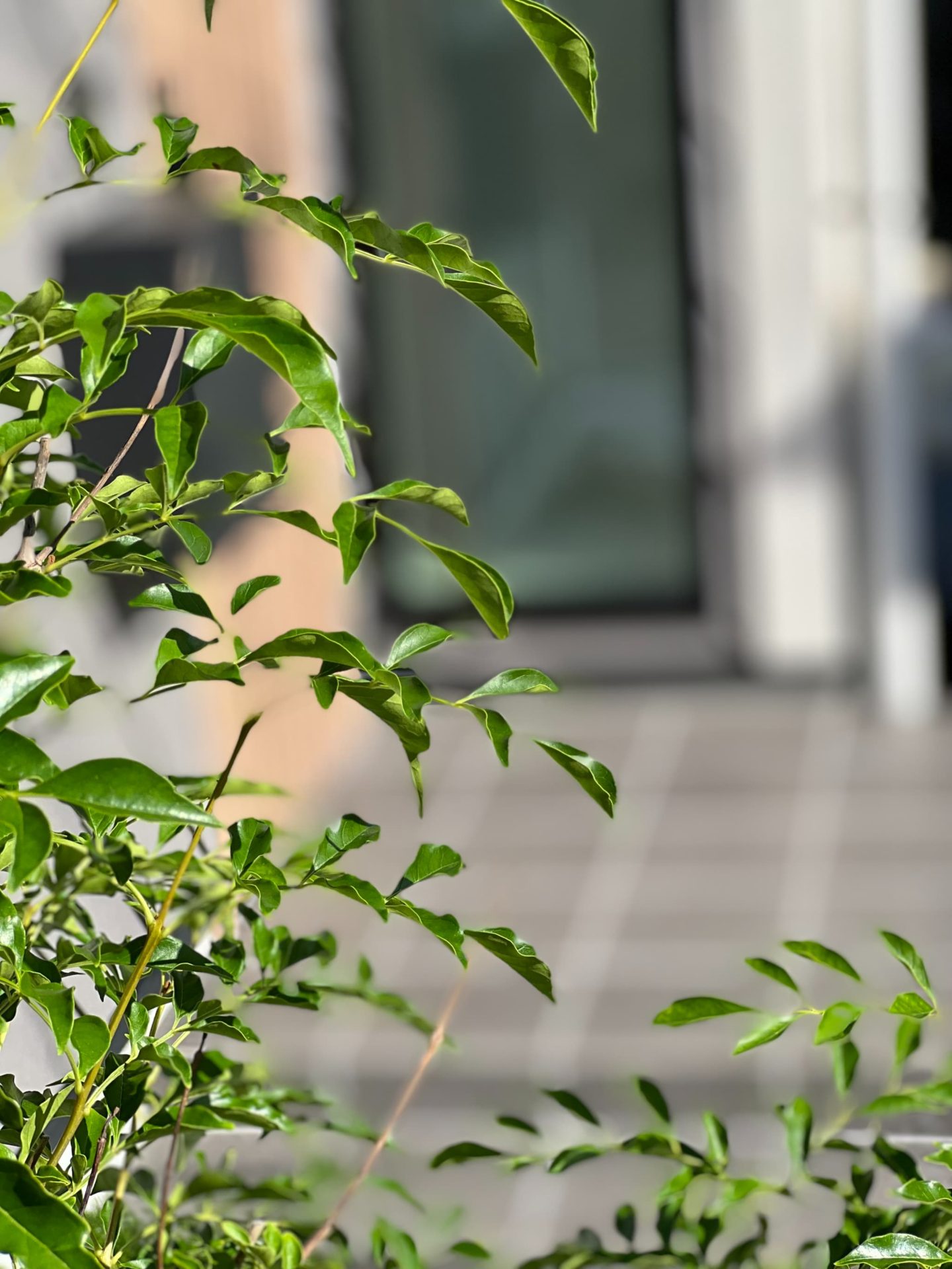 施工事例の写真