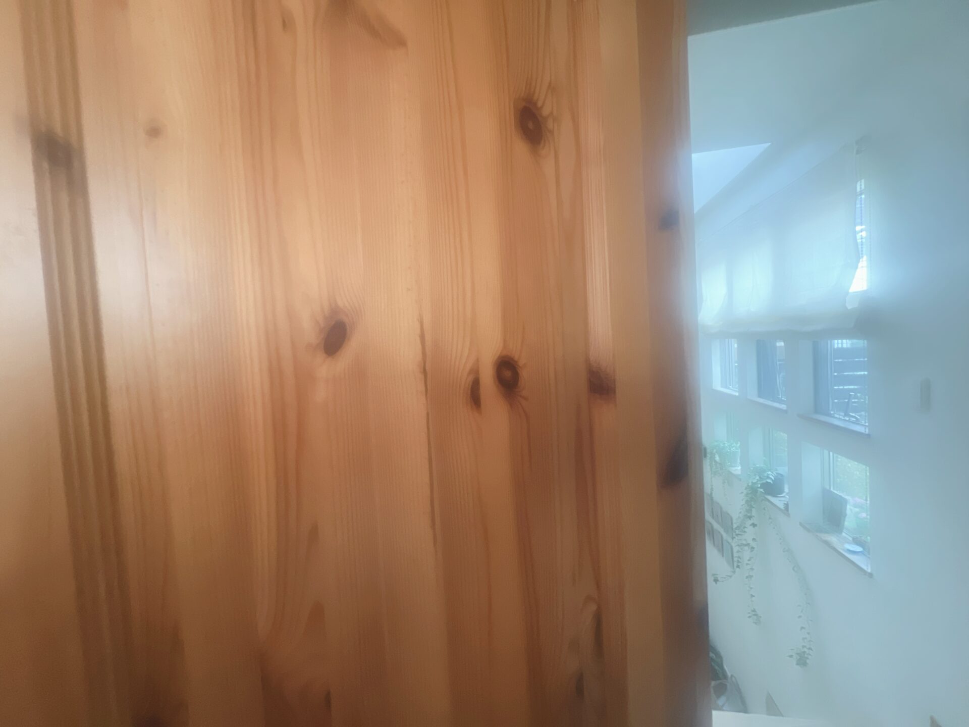 実績の写真